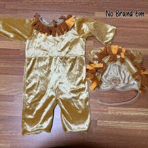 6m Lion Costume